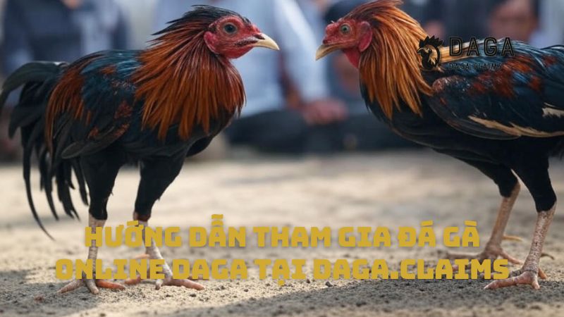 Hướng dẫn tham gia Đá gà online Daga tại petnations.io